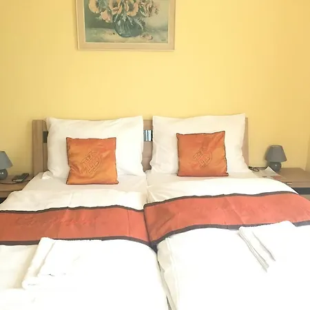 Vidhous 1 * Františkovy Lázně