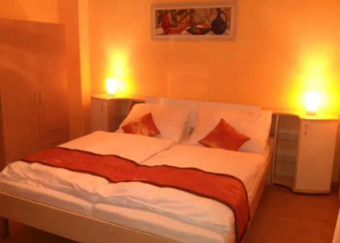 Pension Vidhous 1 3* Frantiskovy Lazne